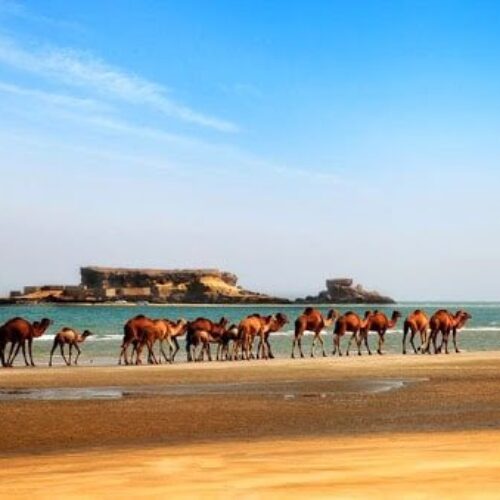 Unforgettable Qeshm Island Tour | 5 Days Tour in Qeshm