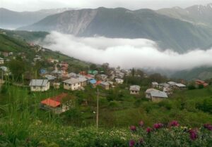 dalkhani forest, north of Iran