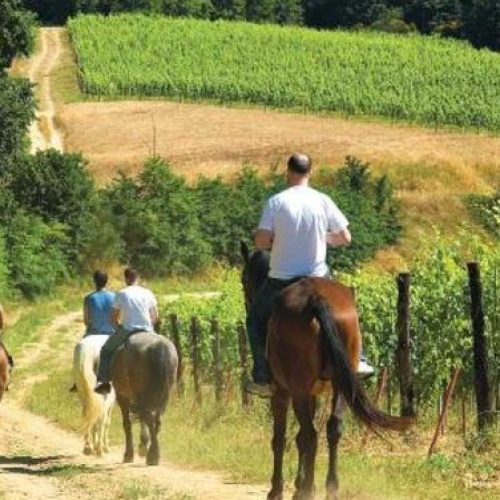 Horseback Riding Tour in Iran | A Week of Horse Riding And Local Culture