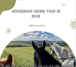 iranjoytour horse ridingtour